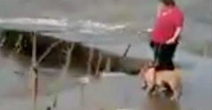 Eine Frau spaziert mit ihrem Hund entlang eines stürmischen Sees und wirft ihn dann wir Abfall ins Wasser.