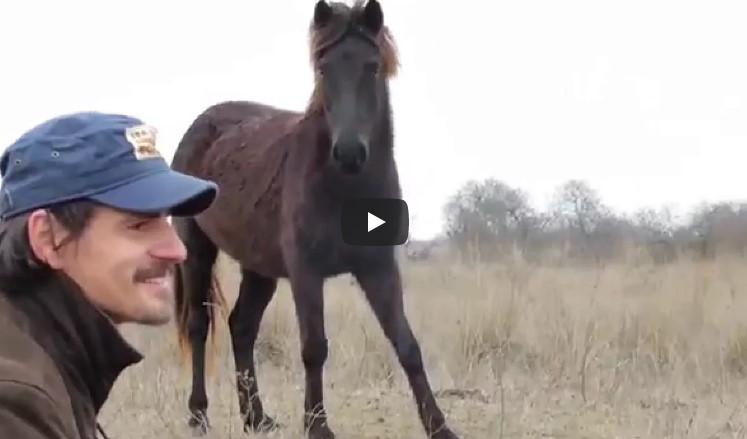 Ergreifendes Video: Tierschützer befreit Pferd und erhält dessen Dank.