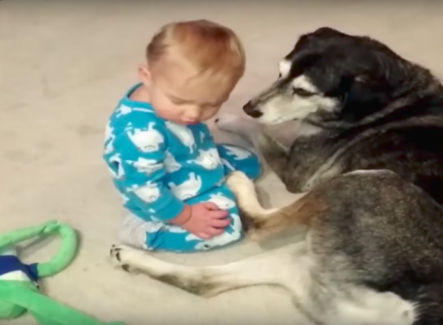  Hund küsst Baby in den Schlaf Zuckersüss!