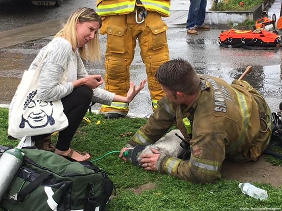 Die Frau schreit, während der Feuerwehrmann versucht, ihren Hund zu retten. 20 Minuten lang weigert er sich aufzugeben – bis ein Wunder geschieht.