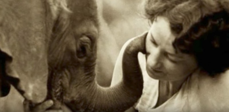 Seit 40 Jahren kümmert sich 83-Jährige um Elefantenwaisen.