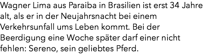 Lebewohl: Pferd trauert am Sarg um verstorbenen Besitzer.