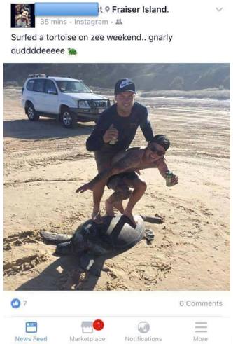 Die 2 Männer treten auf das Tier um für ein “lustiges” Foto zu posieren. Doch auf Facebook schlägt ihnen deshalb eine Welle von Hass entgegen.