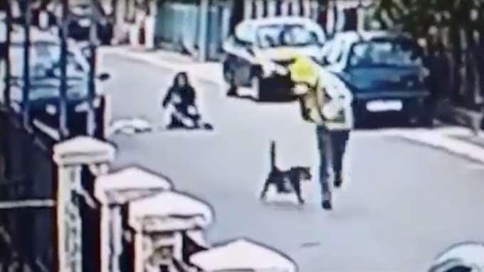 Dieser Straßenhund kommt einer Frau zur Hilfe, die von Räubern überfallen wird