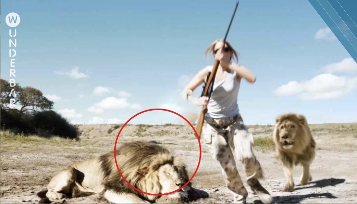 Das Paar tötet einen Löwen und lächelt für das Foto. Was Sekunden später im Hintergrund geschieht, lässt mir die Haare zu Berge stehen.
