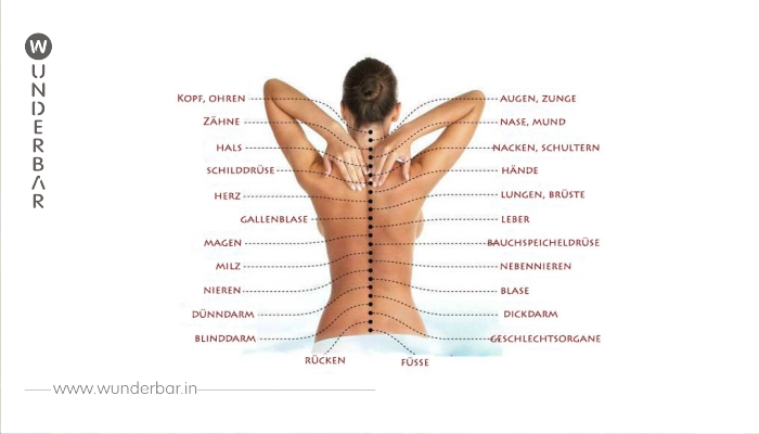 WIE DIE WIRBELSÄULE MIT INNEREN ORGANEN VERBUNDEN IST- DIE WAHRE URSACHE VON SCHMERZEN!