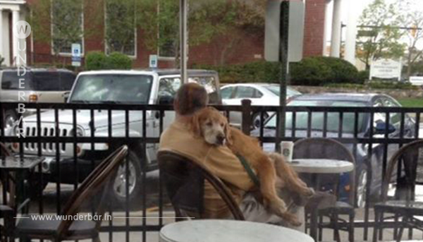 Die Frau schießt heimlich ein Foto, als sie sieht, was der Mann mit dem Hund vorm Cafe macht. Das geht ins Herz!