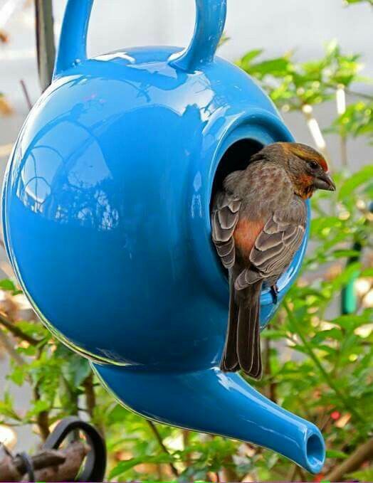 Liebst du auch Vögel im Garten? Dann mach eines dieser tollen Vogelhausideen!