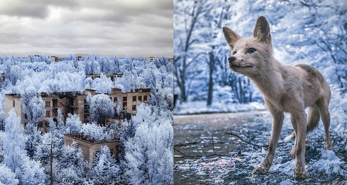 15 unglaubliche Bilder von Tschernobyl. Es ist großartig!