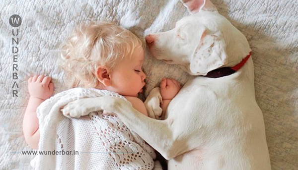 Dieser Hund Wurde Von Einem Baby Gerettet! Es Könnte Nicht Rührender Sein!