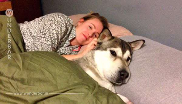 Hunde gehören nicht ins Bett?! Nach diesem Artikel wirst du froh sein, deinen Hund immer da zu haben.