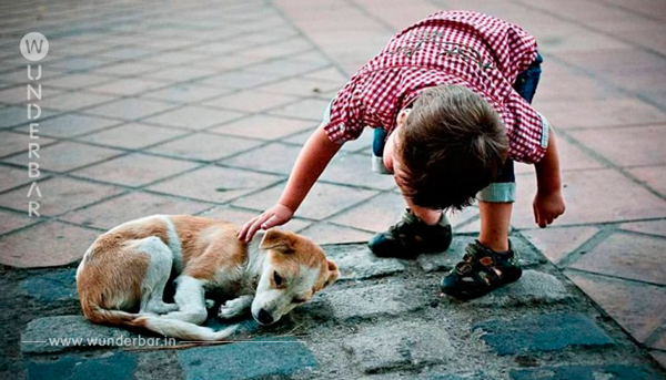 Sie hatte keine Wahl: 7 Jährige setzt ihren treuen Hund aus.