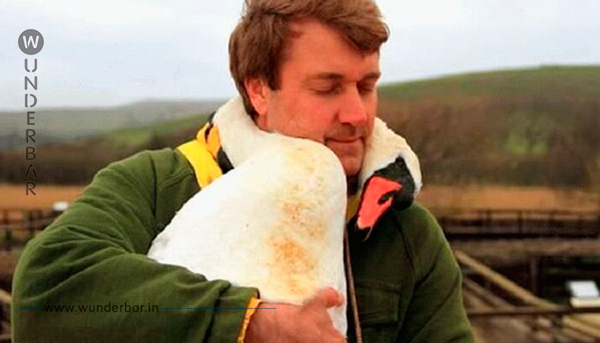 Er befreite einen Schwan, der sich in einem Netz verfangen hatte. Er hat absolut nicht erwartet, dass der Vogel ihn so belohnen würde.