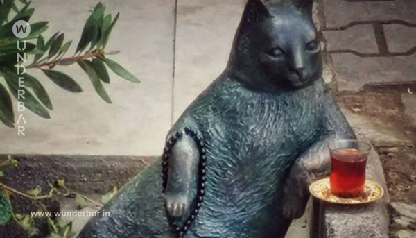 Istanbuls verstorbener „Meme Katze“ wurde nun die Ehre zuteil, als Statue verewigt zu werden