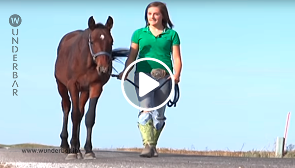 Mädchen findet Pferd am Straßenrand und bringt es in Sicherheit!