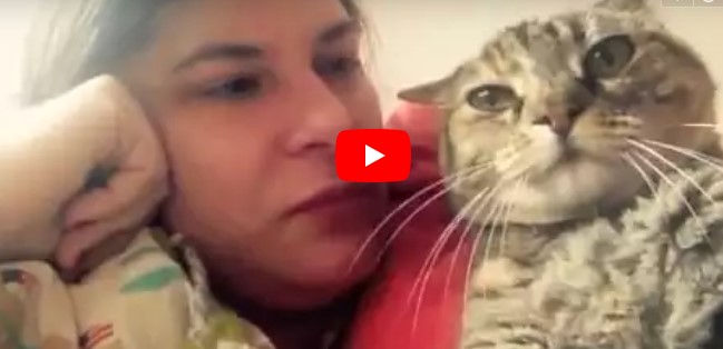 Sie gibt ihrer geliebten Katze ein paar Küsschen – doch diese hat dann genug