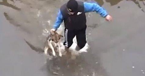 Der Mann rettete den ertrinkenden Welpen aus dem kalten Wasser. Schau, WIE der Hund dem Retter gedankt hat!