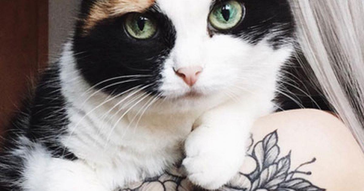 Der neueste Trend: Filigrane Katzen-Tattoos für echt Tierliebhaber! Total edel!	