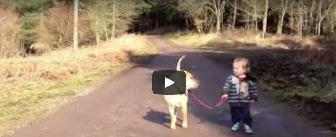 Der Junge lässt plötzlich den Hund los – etwas Anders hat seine Aufmerksamkeit auf sich gezogen
