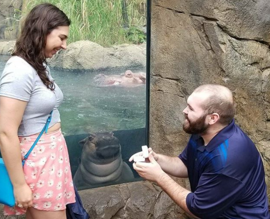 Der Mann stellt seiner Freundin einen Antrag im Zoo – zwei Stunden später entdecken sie das bizarre Detail