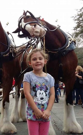 Vater schießt ein Foto von seiner Tochter vor den Pferden – als er das Bild sieht, muss er laut auflachen