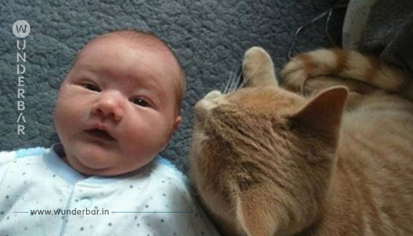 Als niemand hinschaut, schleicht sich die Katze an das kranke Baby heran. Was dann passiert, ist einfach rührend.
