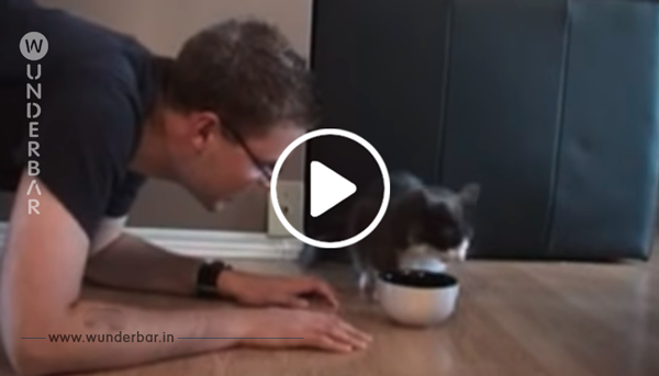 Er gibt vor, Katzenfutter zu essen – schau dir die fantastische Reaktion der Katze an