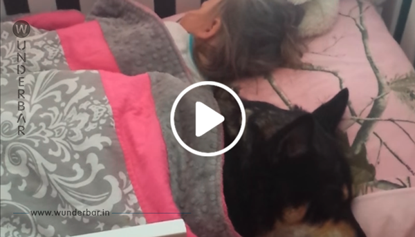 Entzückte Mutter filmt, wie sie Schäferhund neben ihrem Baby im Bettchen findet.