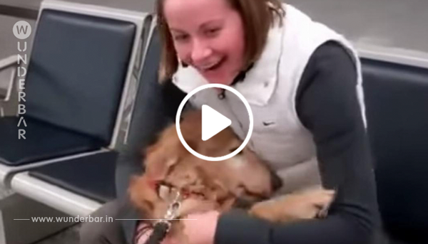 Die Frau steigt aus dem Flugzeug. Doch warte, was passiert, als ihr Hund sie wiedersieht. Mir geht das Herz auf.