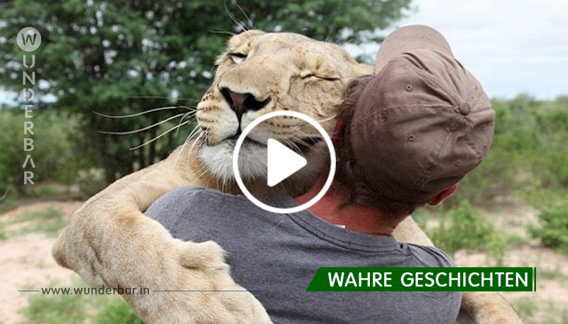 Er rettete das Löwenbaby vor dem sicheren Tod – schau dir an, wie sie nun gemeinsam jeden Morgen verbringen