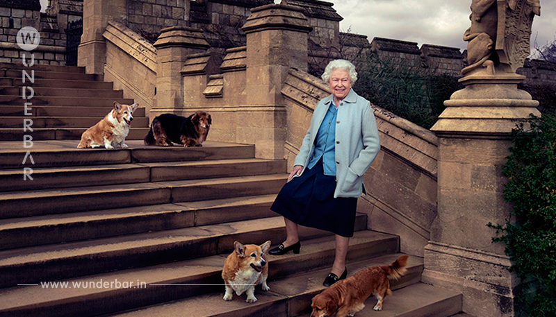 Königin Elizabeth II zeigt wieder einmal, weshalb sie Königin ist!