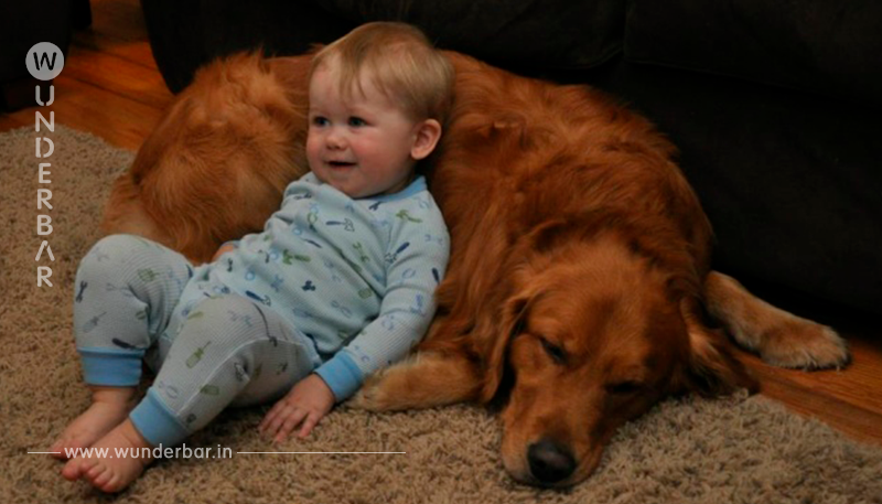 15 Bilder die uns zeigen, dass Kinder mit Hunden aufwachsen sollten – Nr. 4 ist nicht zu übertreffen!