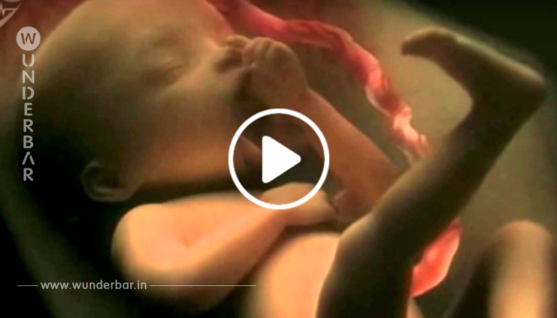 Diese wunderbaren Bilder zeigen eine 9-monatige Schwangerschaft in nur weniger als 4 Minuten!