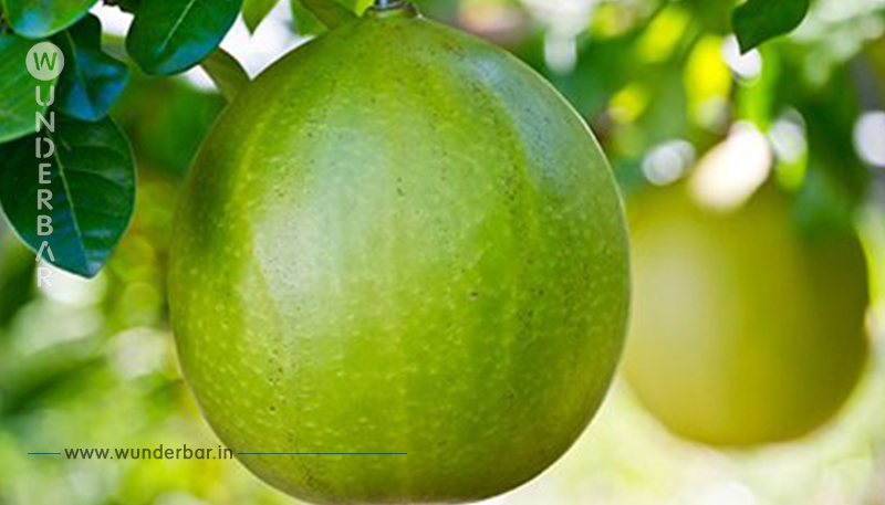 Pomelo – der Exot unter den Zitrusfrüchten