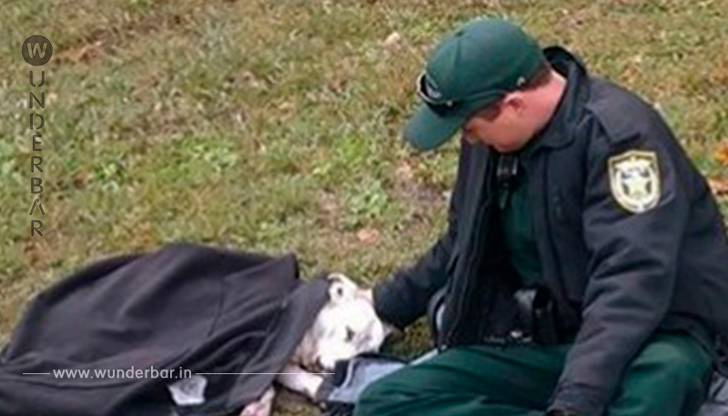 Ein Hund wurde von einem Auto fast überfahren, ein Polizist zeigte, wie man solche Tiere behandeln muss und tröstete den Vierbeiner
