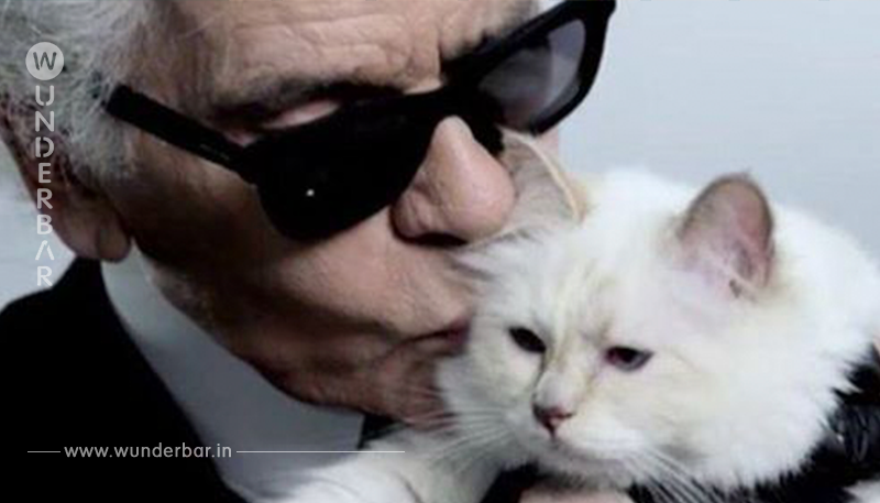 Karl Lagerfeld ist tot: Was wird aus seiner Katze Choupette?