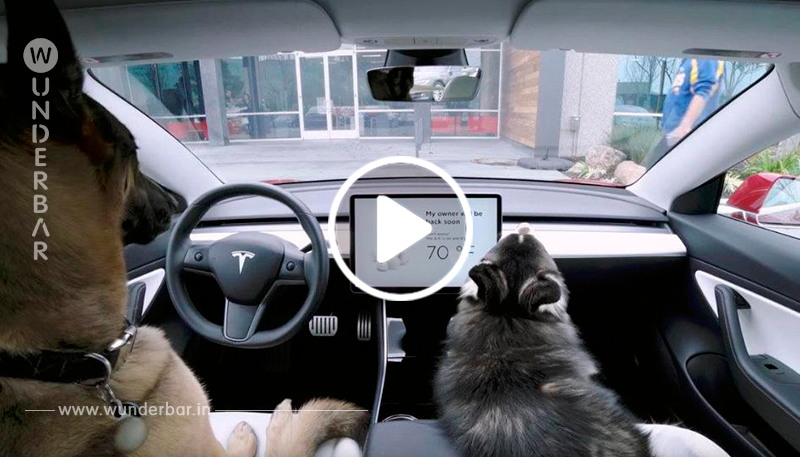 TESLA AB SOFORT MIT „DOG MODE“ Damit Vierbeiner im Auto nicht vor die Hunde kommen