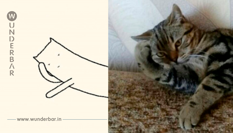 15 Katzen Zeichnungen und ihre Originale.