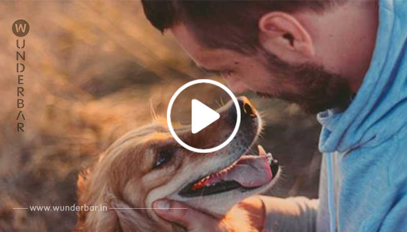 Verzweifelter Obdachloser sucht seinen Hund – und erlebt tränenreiches Wiedersehen