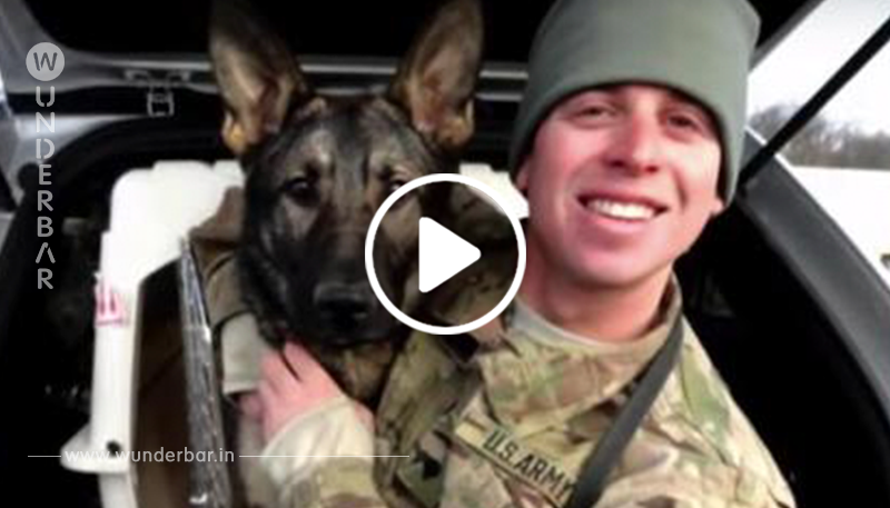Soldat hat Angst, dass sein Militärhund ihn nach 3 Jahren nicht mehr wiedererkennt, bis er plötzlich den Hund durch das Tor rennen sieht