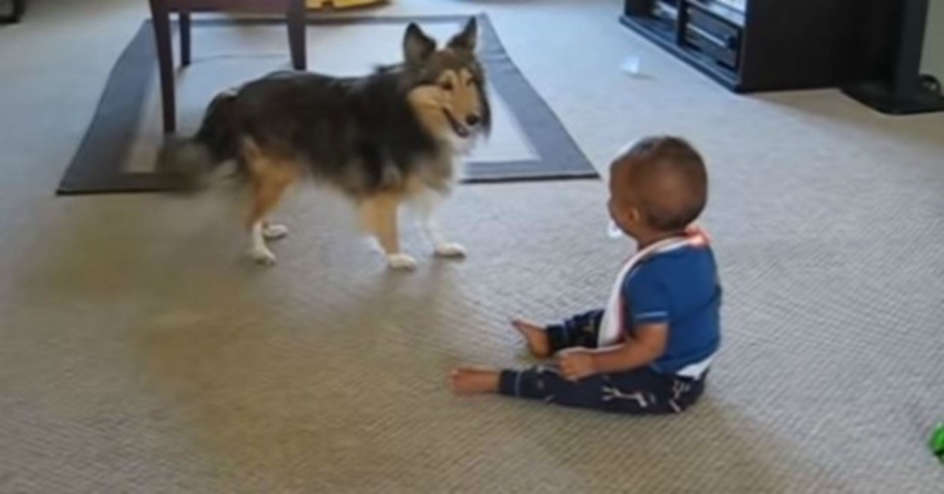 Sie hört ihr Baby schreien, rennt hin und glaubt nicht, was ihr Hund macht