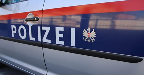 Salzburg: Randalierender Syrer verletzt vier Polizisten