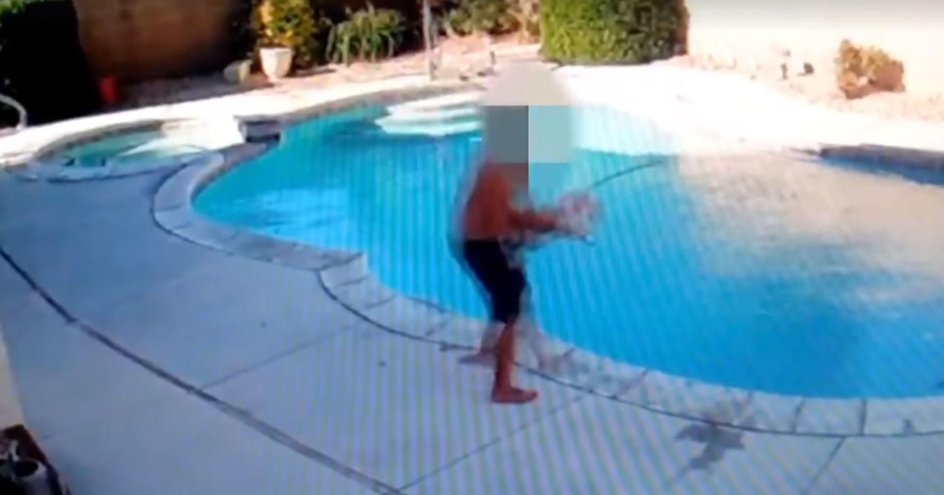 Kind mit Hund allein: Als sie das Überwachungsvideo sieht, stürzt sie zum Pool