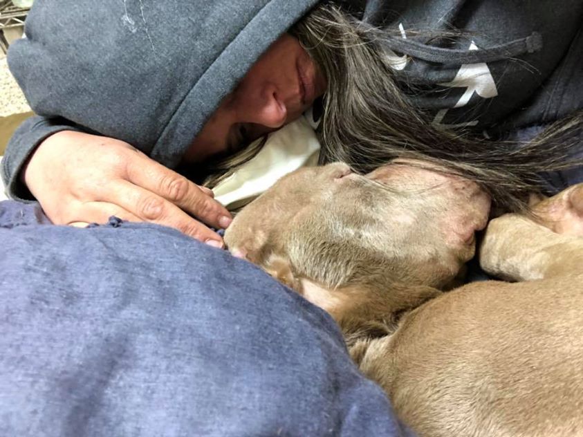 Frau verbringt eine ganze Nacht in einem Tierheim und streichelt leidenden Hund, damit er nicht allein stirbt