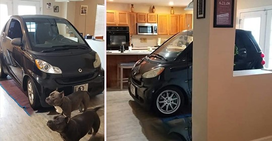 Angst vor Hurrikan Dorian: Ehemann parkt sein Auto mitten in der Küche