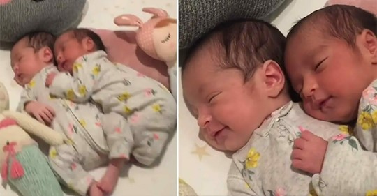 Das Video von neugeborenen Zwillingen, wie sie miteinander kuscheln, begeistert das Netz