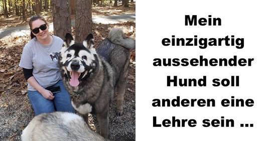 Besitzer teilen traurige Geschichte über ihren „Masken“ Hund Besitzer teilen traurige Geschichte über ihren „Masken“ Hund