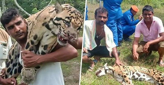 Trophäenjäger lachen und posieren grinsend mit totem Leoparden – Art ist vom Aussterben bedroht