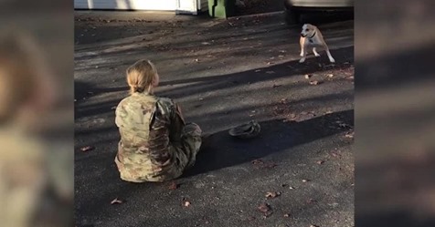 US-Soldatin nach Monaten wieder zuhause - ihr Hund reagiert anders als erwartet