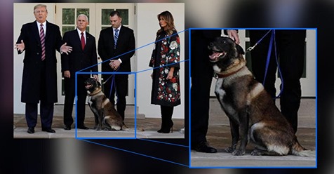 Trump ehrt Militärhund Conan